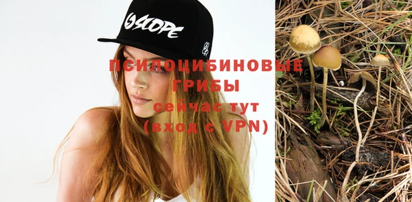 марихуана Абаза