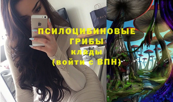 марихуана Абаза